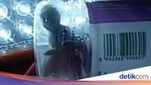 Antropolog Unair Ungkap Wujud Tuyul dan Tugasnya di Mata Masyarakat Jawa