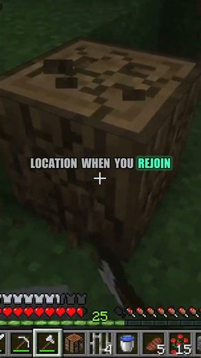 This Minecraft Bug Will Blow Your Mind 🚀 #shorts