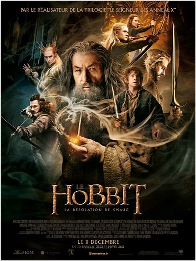 Où regarder Le Hobbit : la Désolation de Smaug en streaming et SVOD