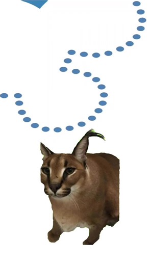 ⠀ ⠀ ⠀ ⠀ ⠀ on TikTok