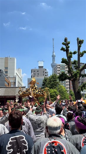 三社祭 お見越し通過｜見どころと参加ポイント