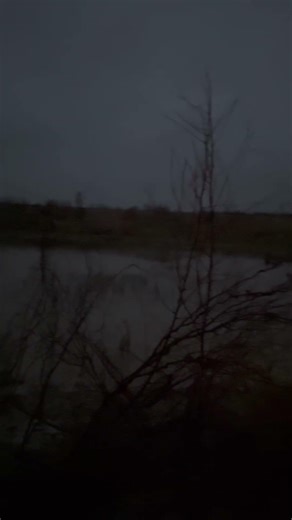 Last duck hunt of the season😭😭 #music #hunting #duckhunting #southtexas