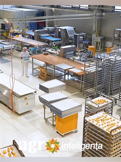 Cum a decis Dioszegi Laszlo să fondeze o echipă de fotbal în Sfântu Gheorghe #agrointelRO #stiriagricole #fermieriiromaniei #agricultura #agrointeligenta