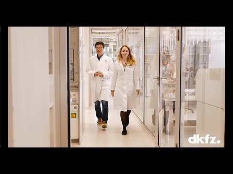 International PhD Program at the DKFZ in Heidelberg