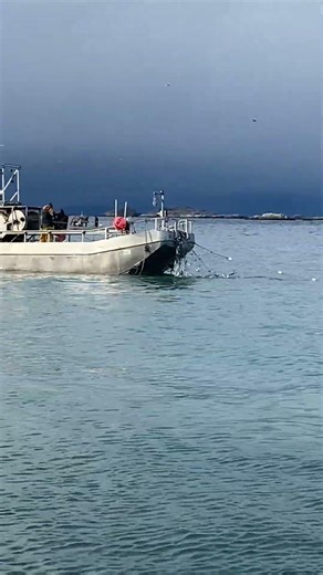 Commercial Gill Net Herring Fishing