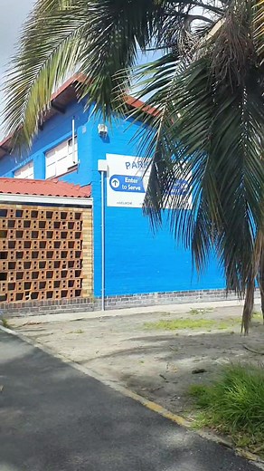 Celebrating Libraries at Parkwood Primary School