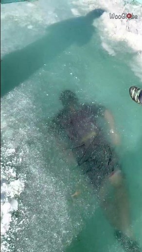 Man Swim in Extreme Cold Water || WooGlobe