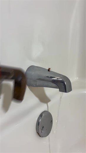 How to Replace Tub Faucet Super Easy | plumber doc