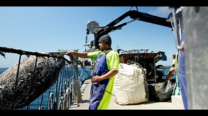Tēnā koutou e te iwi, After a successful AGM at Pōtahi Marae over the weekend, we'd now like to share out summary video to show all our uri across the world what we have been doing for the last 12 months. E whakahīhī pai ana mātou i ngā tini mahi kua oti hei oranga nui ki te rahi o Te Ikanui, ara ki a tātou o Te Aupōuri. Te Aupōuri Commercial Development Limited Kotahi te manu ka tau ki te tahuna, tau atu, tau atu, tau atu! | Te Aupōuri