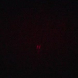 Can you identify this animal? Check back later for the answer. | FOXPRO Inc.