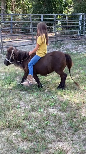 #pony #cowgirl ❤️ 🙏 | W/W Stables