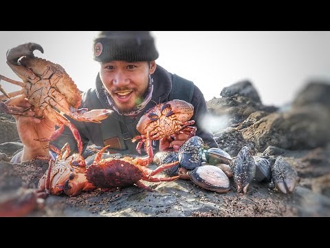 Coastal Foraging ALL THIS to Make Delicious Cioppino (BIG Mussels, Crabs, Clams)!