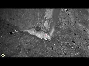 Arken Zulus HD 5-20X LRF