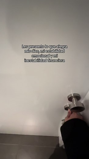 Descubre a Mis Springers Spaniels que Alegran Mis Días