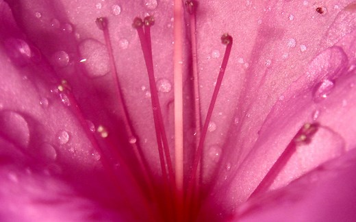 100块钱相机拍大片？摄影系学生硬核测评CCD相机