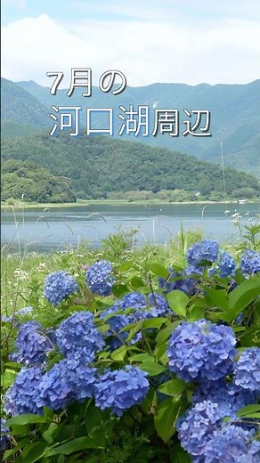 7月の河口湖（八木崎公園・大石公園・長崎トンネル周辺）