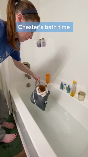 Funny Cat Bath Time Compilation
