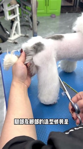 Ultimate Pet Grooming Tips: Dog Care & Styling Guide