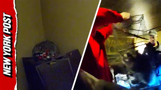 Raccoon wrangled out of Wisconsin restaurant