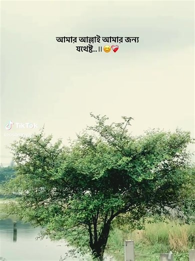 cat maths (@cat.maths)’s videos with original sound - cat maths