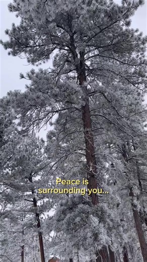 Whether you need peace, rest or a calm moment to breathe. Mo Vinn’s music is a quiet refuge for you. There’s a 9-hour Gentle & Soft Piano playlist waiting on Spotify with over 100,000 song streams. Find out what it’s all about. Just search @MoVinnMusic. Mo Vinn’s albums are also available on all platforms. #MoVinn #GentlePiano #RestfulMusic #PeacefulPiano #RelaxingMusic