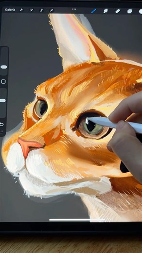 ✍️How to… CAT - digital painting 🎨 #drawing #drawingprocess #digitalart #sketch #procreate