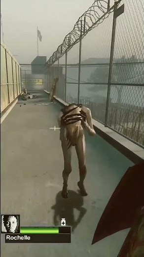 L4D2 Rochelle Crowns A Witch