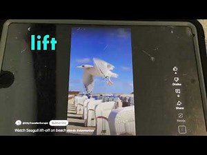 Baby bumblebee action words vol 3 2001