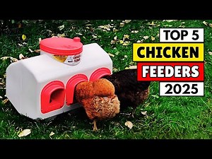Best Chicken Feeders of 2026 — Top 5 Expert Reviewed!