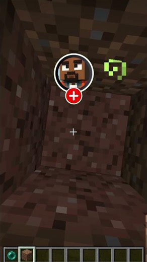 Seguo le vostre indicazioni su Minecraft!