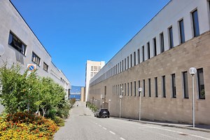 Università Mediterranea, ecco l'offerta formativa 2023-2024: le novità su nuovi e vecchi corsi di Laurea