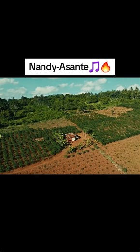 #nandy #Hitsongs #tiktoktanzania🇹🇿 #fypシ #viral