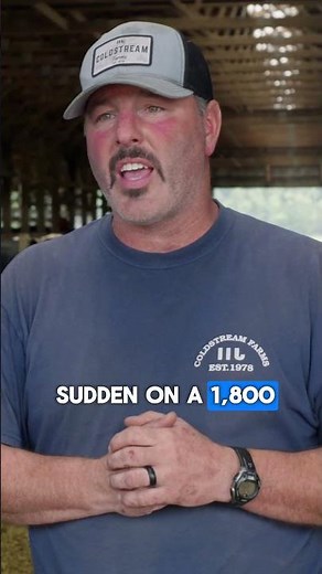 Dairy farm tech paying off fast. #Shorts