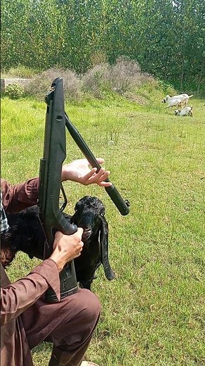 Air Gun Accuracy Challenge Precision Shooting with Air Gun Air Gun Target Practice