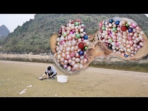 Real freshwater pearls come from huge lakes, hundreds of pearls of different colors are beautiful