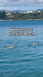 Hataitai Beach popping off this weekend!!!! Perfect weather for some swimming, Kubb and spike ball… 🏖️☀️ | Wellington Alive