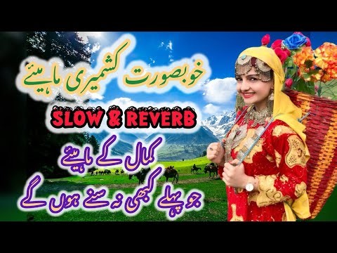 Rang kinu aan dy laal hogy | Paharri Mahiya Song
