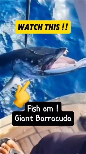 Sea Monsters Defeated! 2 Massive Barracudas Caught in Action! Fishing #giantfish #fypシ゚ #shorts