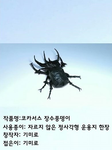 자르지 않고 한장으로 접은 코카서스 장수풍뎅이 (제작 영상도 있습니다)