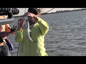 Lake Decade Trout Slam!