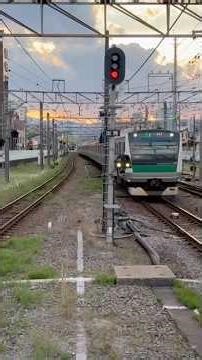相鉄線でぶらり旅(埼京線・東横線Ver.)#ぶらり途中下車の旅