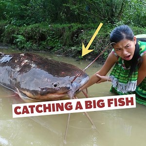 821K views · 7K reactions | We Caught This GIANT Fish In The Forest | Primitive Cooking KT Food | Facebook