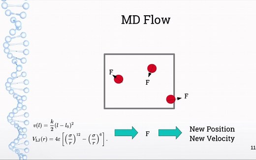 5分钟了解分子动力学模拟（双语字幕）
