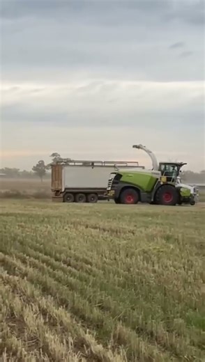 Silage Harvest #countrylife