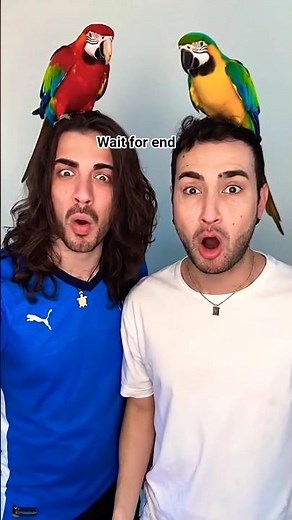 Extend with Ai video |🥰 youtube Extend with Ai video | #shorts #viral #shortfeed