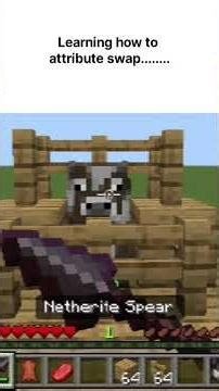 learning how to attribute swap