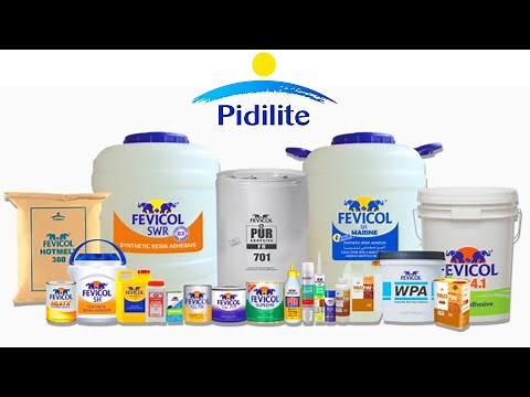 Products of Pidilite | Brands of Pidilite | Pidilite Products List | Pidilite Business Empire |
