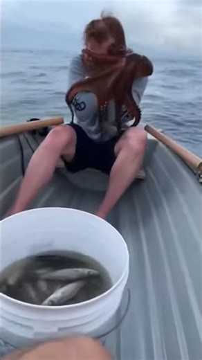 Giant Octopus Jumps Onto Man’s Face!