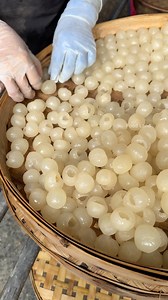 Process before making dried longan part 1 - Thai fruit | Food Land