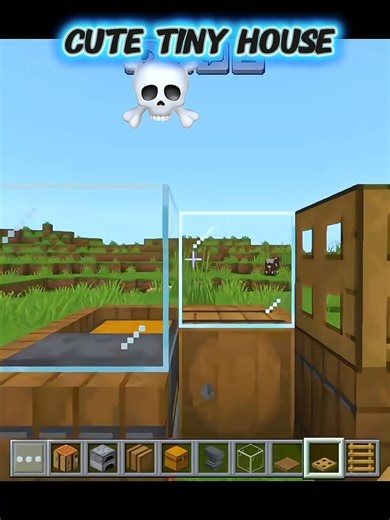 Minecraft Cute Tiny House 💀 #minecraft #trending #shorts